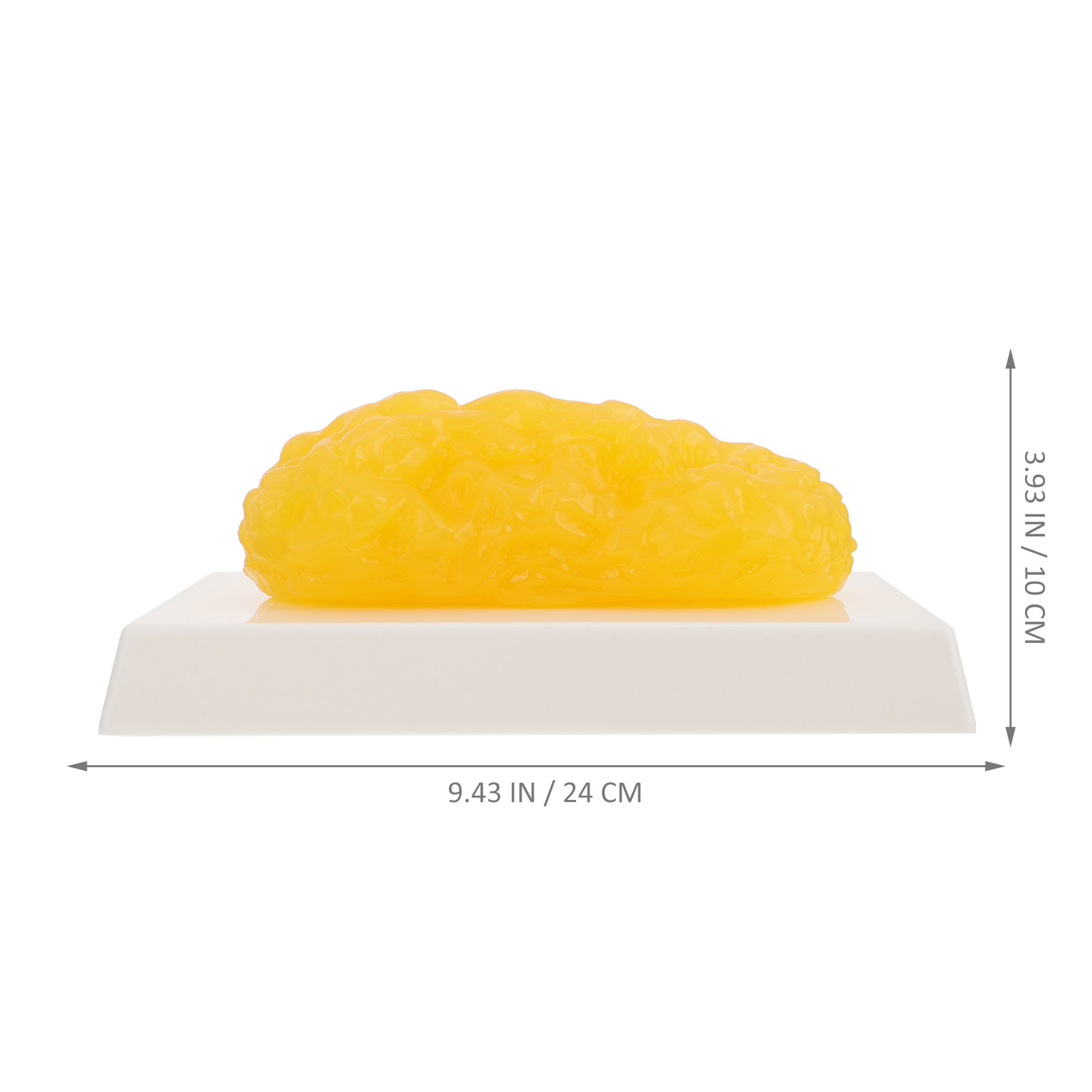 Human Body Fat Pound Plastic F - đánh giá và giá Nutrition For Fitness