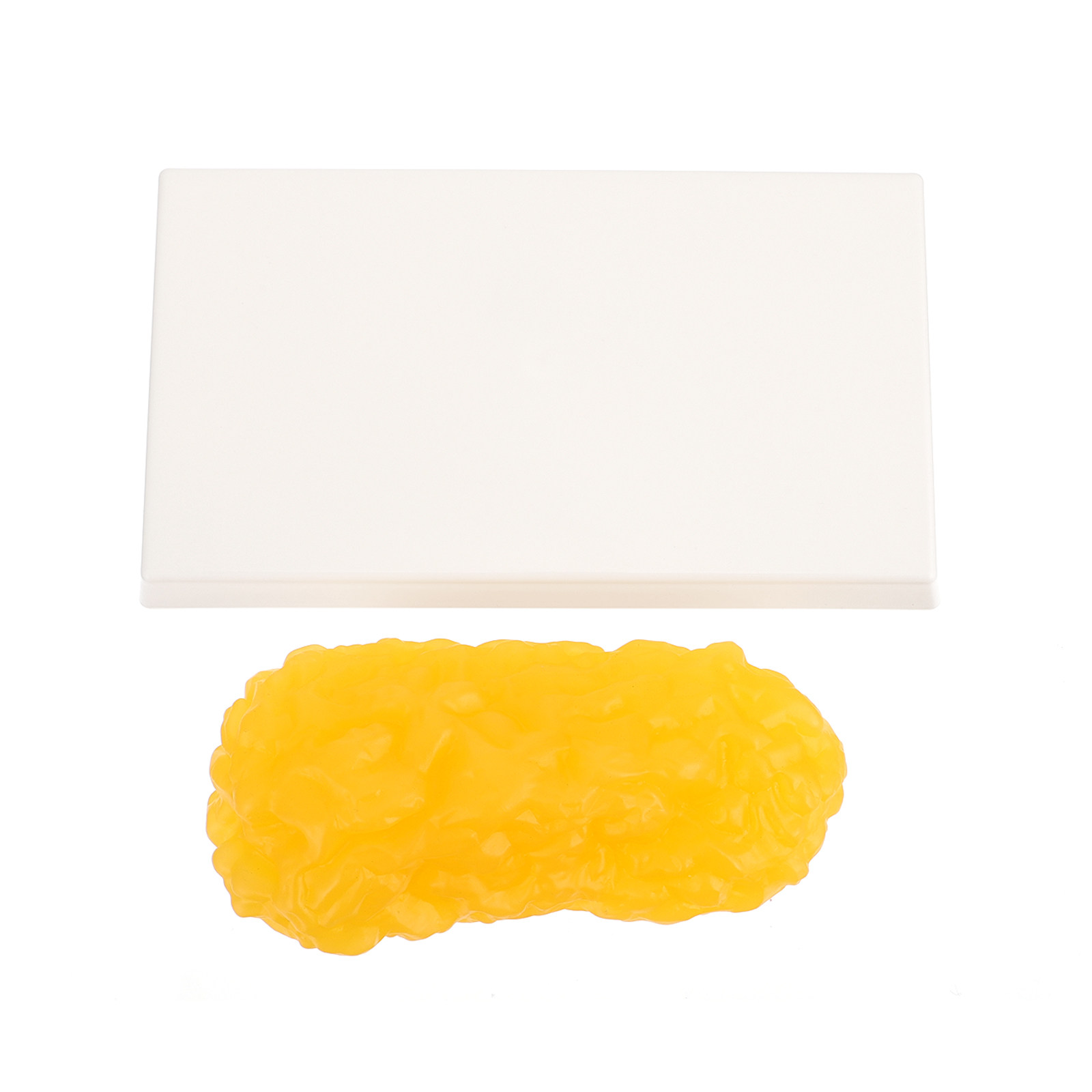 Human Body Fat Pound Plastic F - đánh giá và giá Nutrition For Fitness
