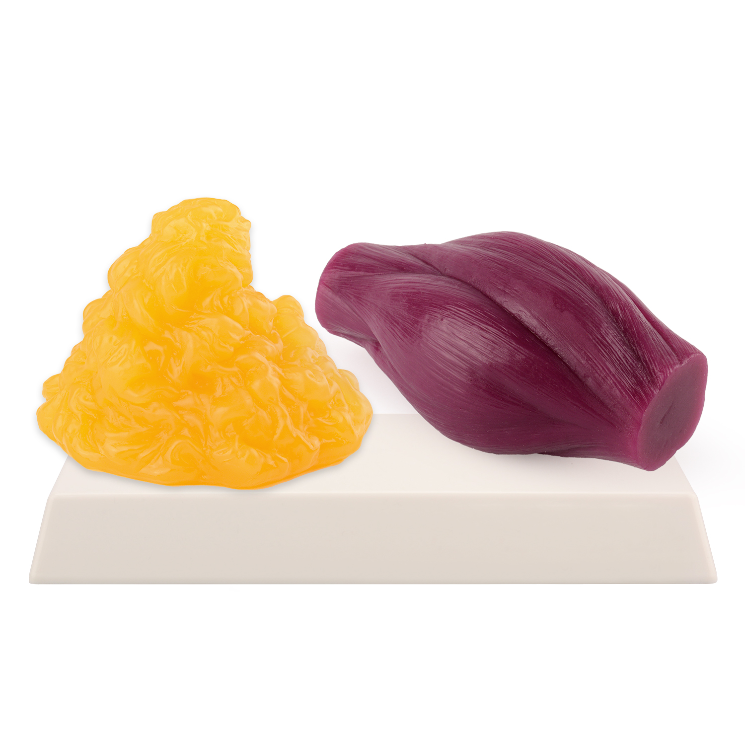 1lb Fat Replica & Muscle to Ke - đánh giá và giá Nutrition For Fitness