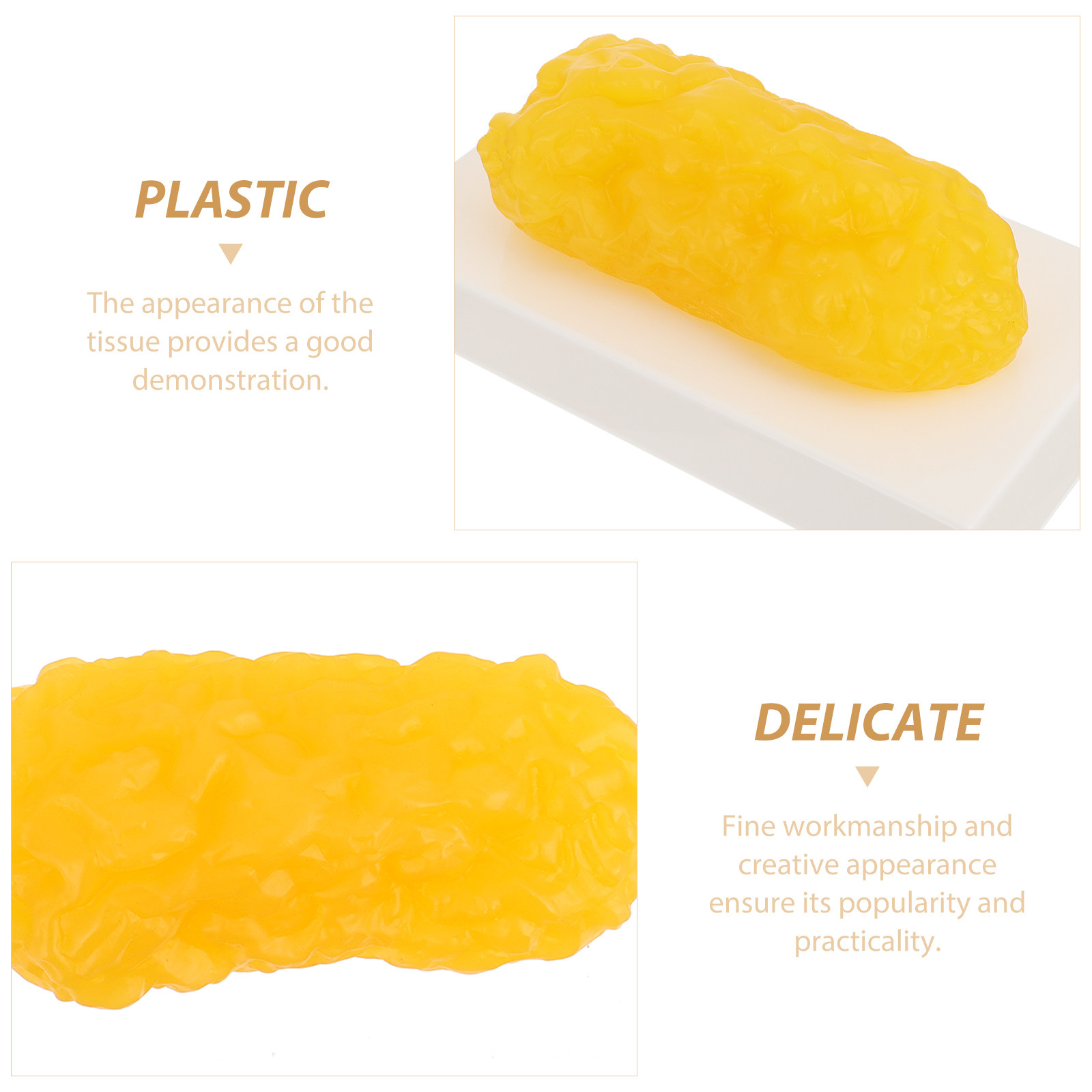 Human Body Fat Pound Plastic F - đánh giá và giá Nutrition For Fitness