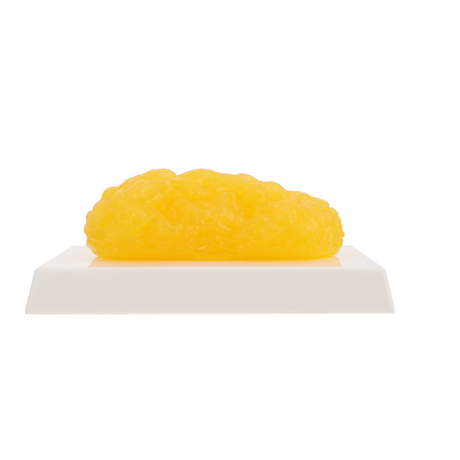 Human Body Fat Pound Plastic F - đánh giá và giá Nutrition For Fitness
