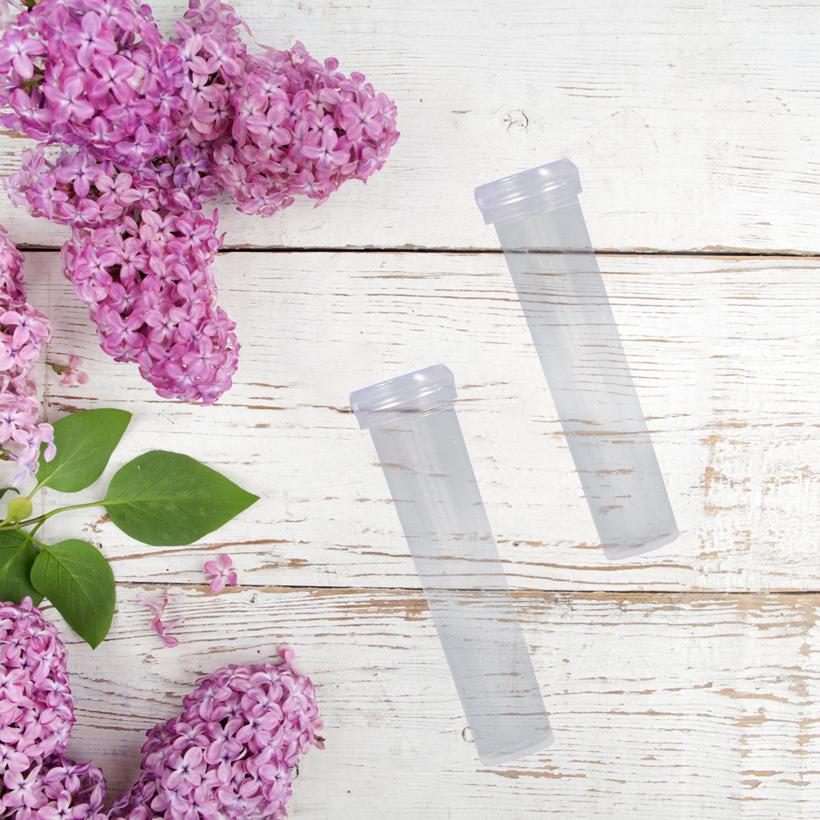 100Pcs Nutrition Flower Tube T - đánh giá và giá Nutrition & Fitness Coaching Fulham